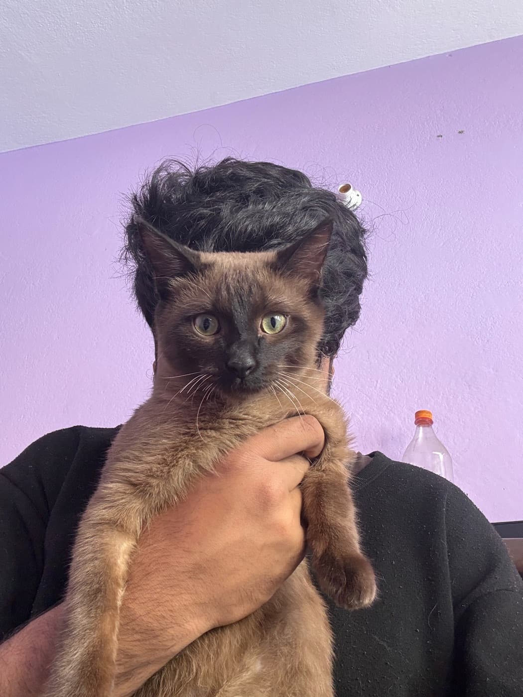 Bhabishya Bhatt holding his cat, MiMi